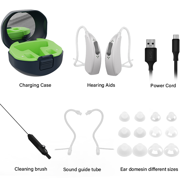 RIC Hearing Aids 